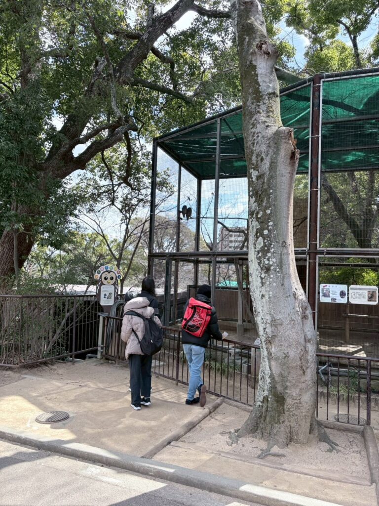 動物園にいる鳥を見ているメンバーたちの背中
