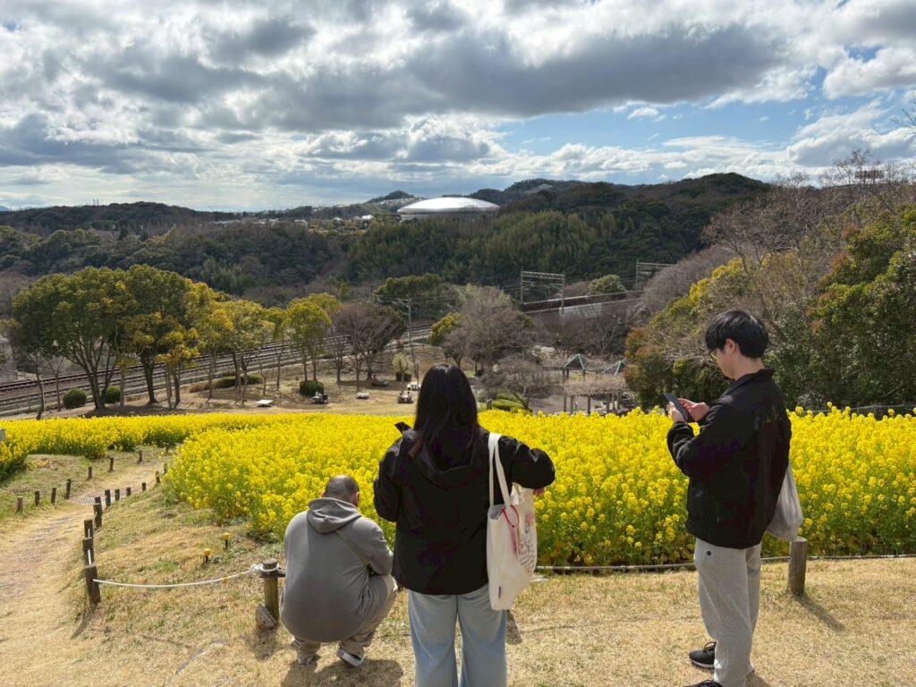 菜の花を見ているメンバさんたち