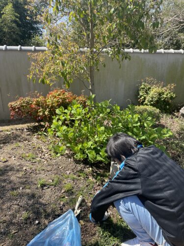 庭園掃除をするメンバーの後ろ姿